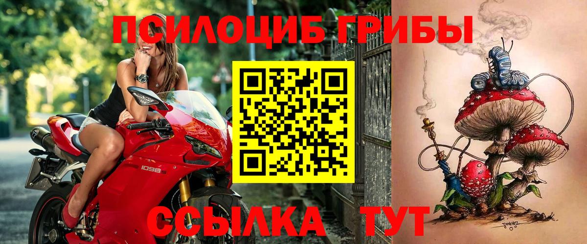 Галлюциногенные грибы GOLDEN TEACHER  Вход с VPN  где купить наркоту  Губкинский 
